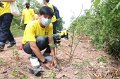 20210526-Tree planting dayt-023